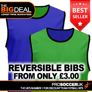 Pro Reversible Mesh Bib