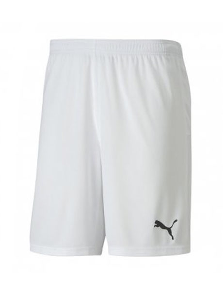 Puma Clearance teamGOAL Shorts White CL120