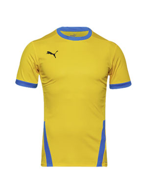 Puma teamGOAL 23 Clearance Jersey Cyber Yellow/Electric Blue CL101