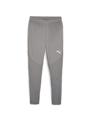 Puma Team Final Training Pants