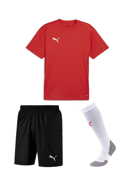 Puma Team Goal Short Sleeve Strip