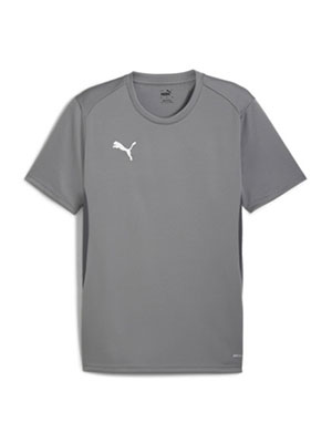 Puma Team Goal Jersey