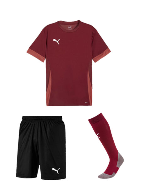 Puma Team Goal MatchDay Full Kit Set - Deal Price