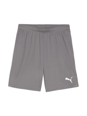 Puma Team Goal Shorts