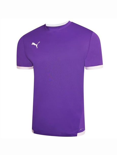 Puma Team Liga Short Sleeve Shirt _ Teamwear